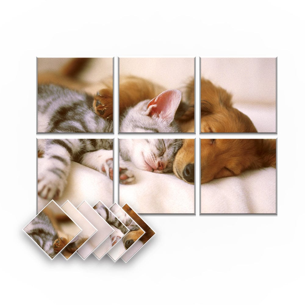 silexofy Animal Velcro Felt Art Wall Panels KK1225